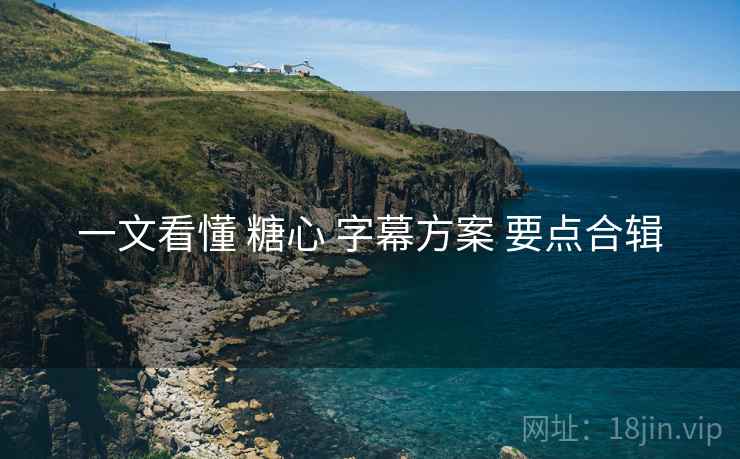 一文看懂 糖心 字幕方案 要点合辑
