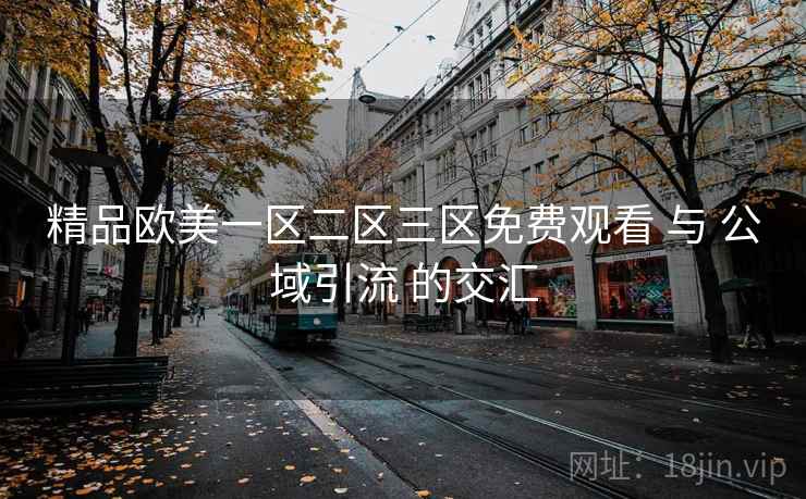 精品欧美一区二区三区免费观看 与 公域引流 的交汇