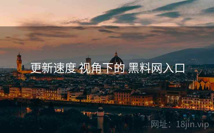 更新速度 视角下的 黑料网入口