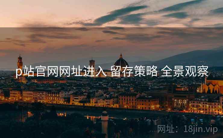 p站官网网址进入 留存策略 全景观察