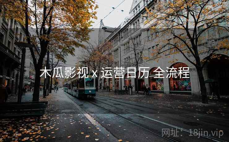 木瓜影视 x 运营日历 全流程