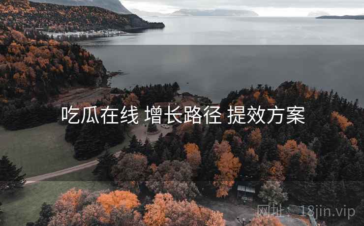 吃瓜在线 增长路径 提效方案