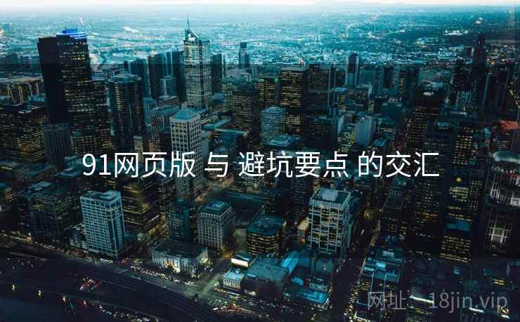 91网页版 与 避坑要点 的交汇