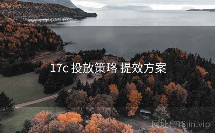 17c 投放策略 提效方案
