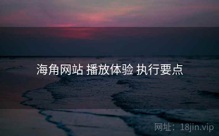 海角网站 播放体验 执行要点