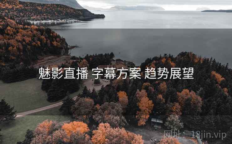 魅影直播 字幕方案 趋势展望