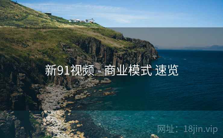 新91视频 - 商业模式 速览