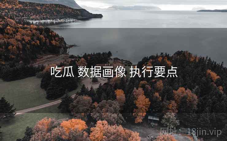 吃瓜 数据画像 执行要点