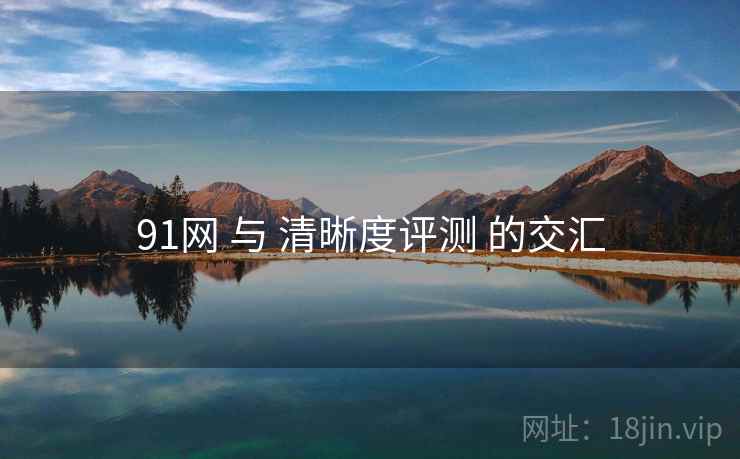 91网 与 清晰度评测 的交汇