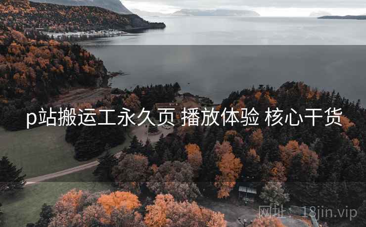 p站搬运工永久页 播放体验 核心干货