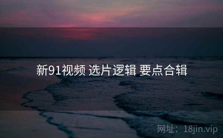 新91视频 选片逻辑 要点合辑